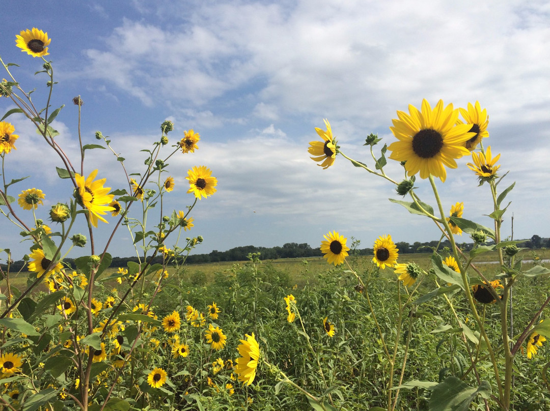 Baker Wetlands Discovery Center-劳伦斯必去景点