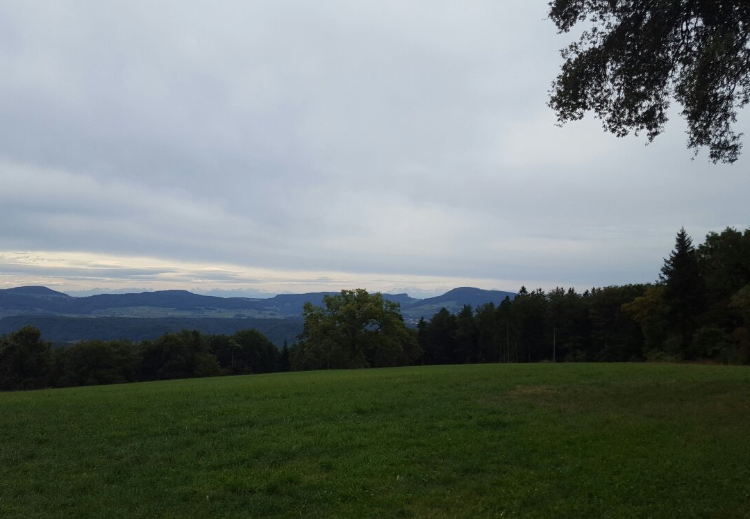 Ruine Farnsburg-Ormalingen必去景点