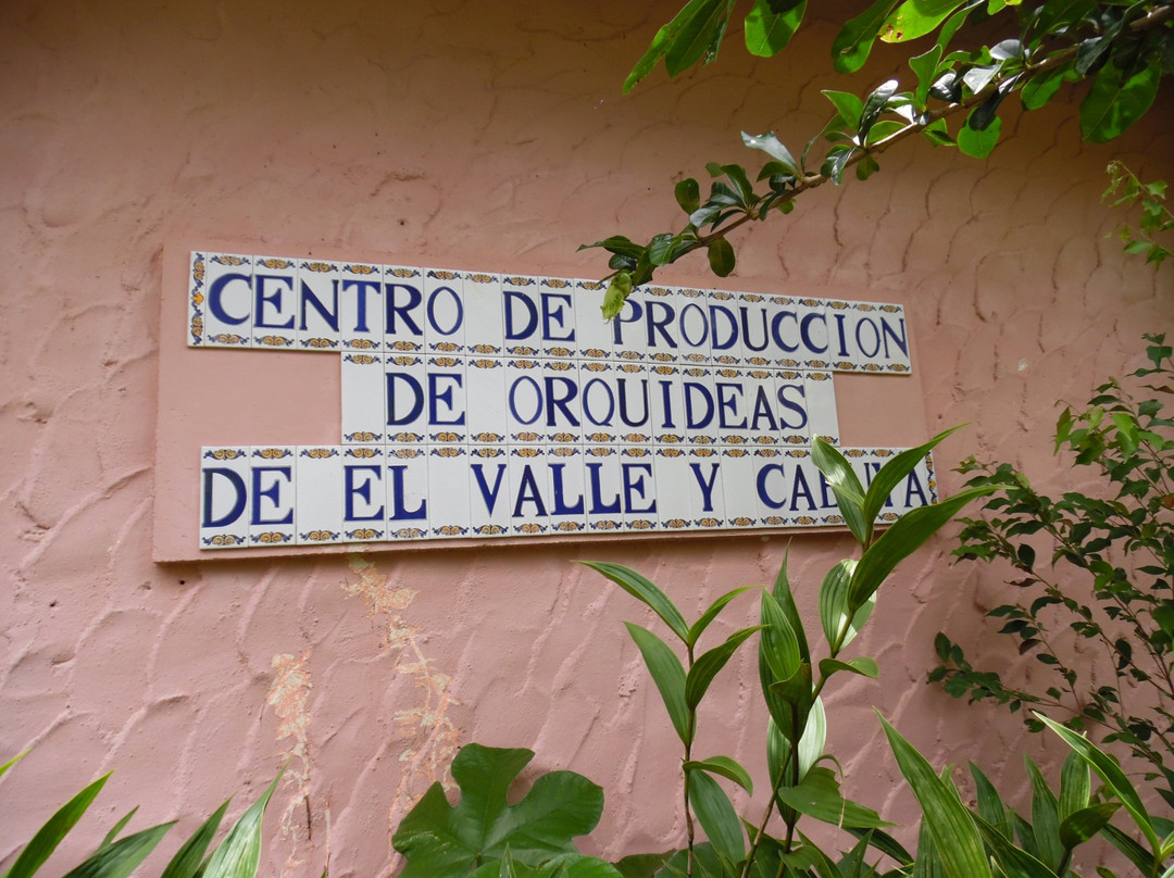 Aprovaca (The Orchid Nursery & Conservation Center)景点图片