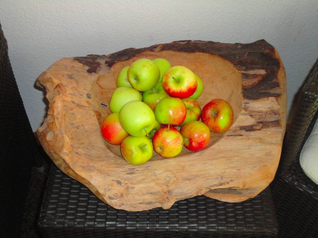 Landhotel Thalerhausle Ochsen主图