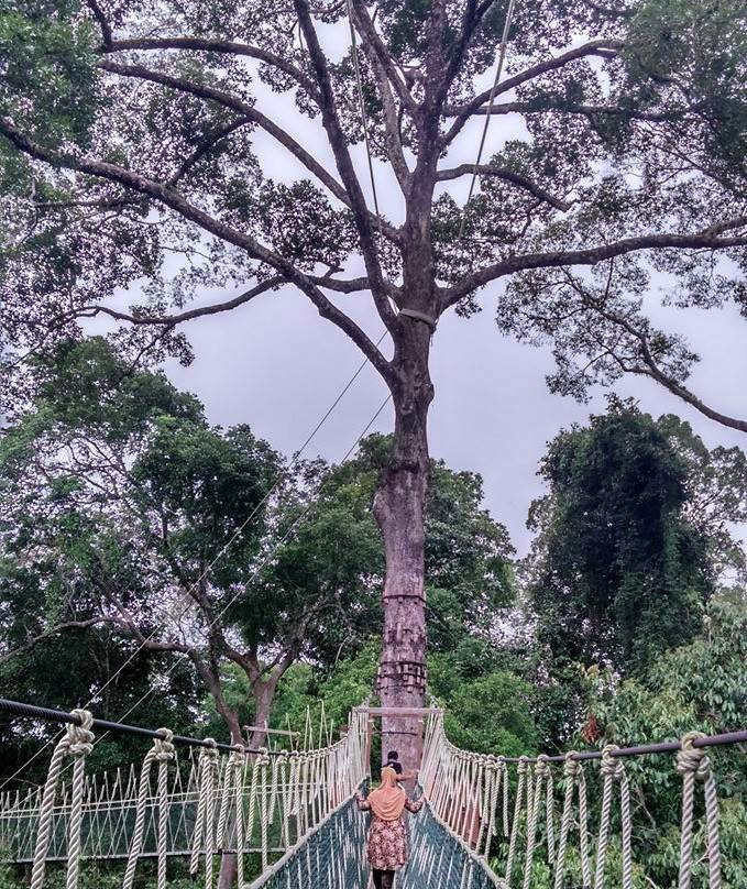 Kuala Koh National Park-话望生必去景点