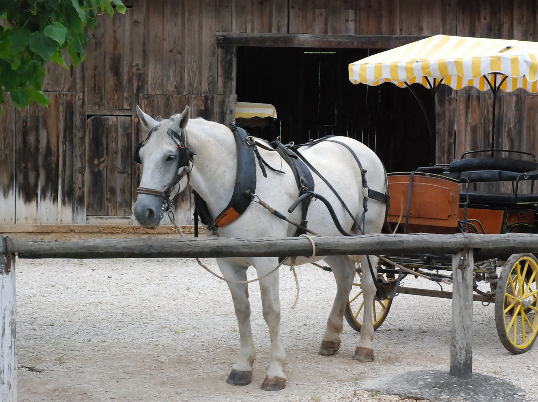 Périgord en Calèche-Mazeyrolles必去景点