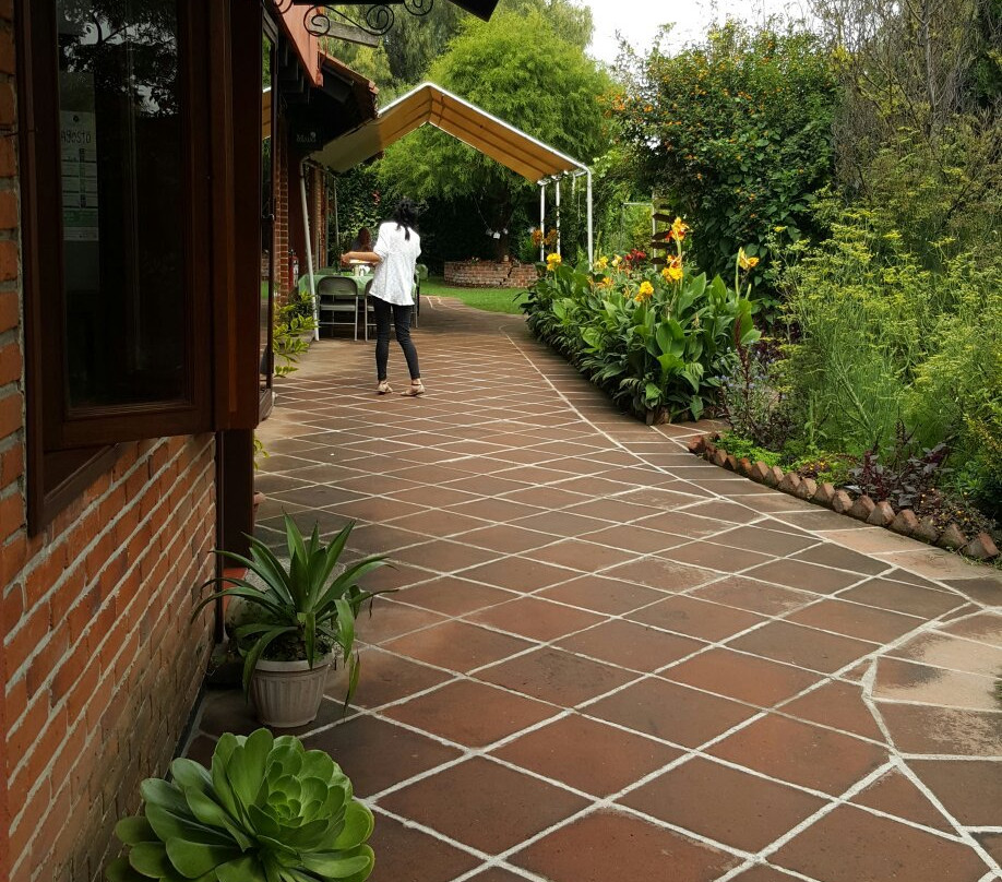 Francisco Pelaez Ethnobotanical Garden景点图片