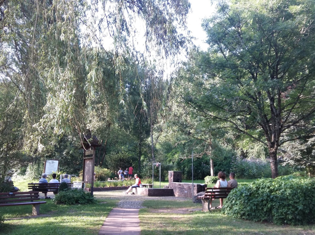 Stausee Losheim-Losheim am See必去景点