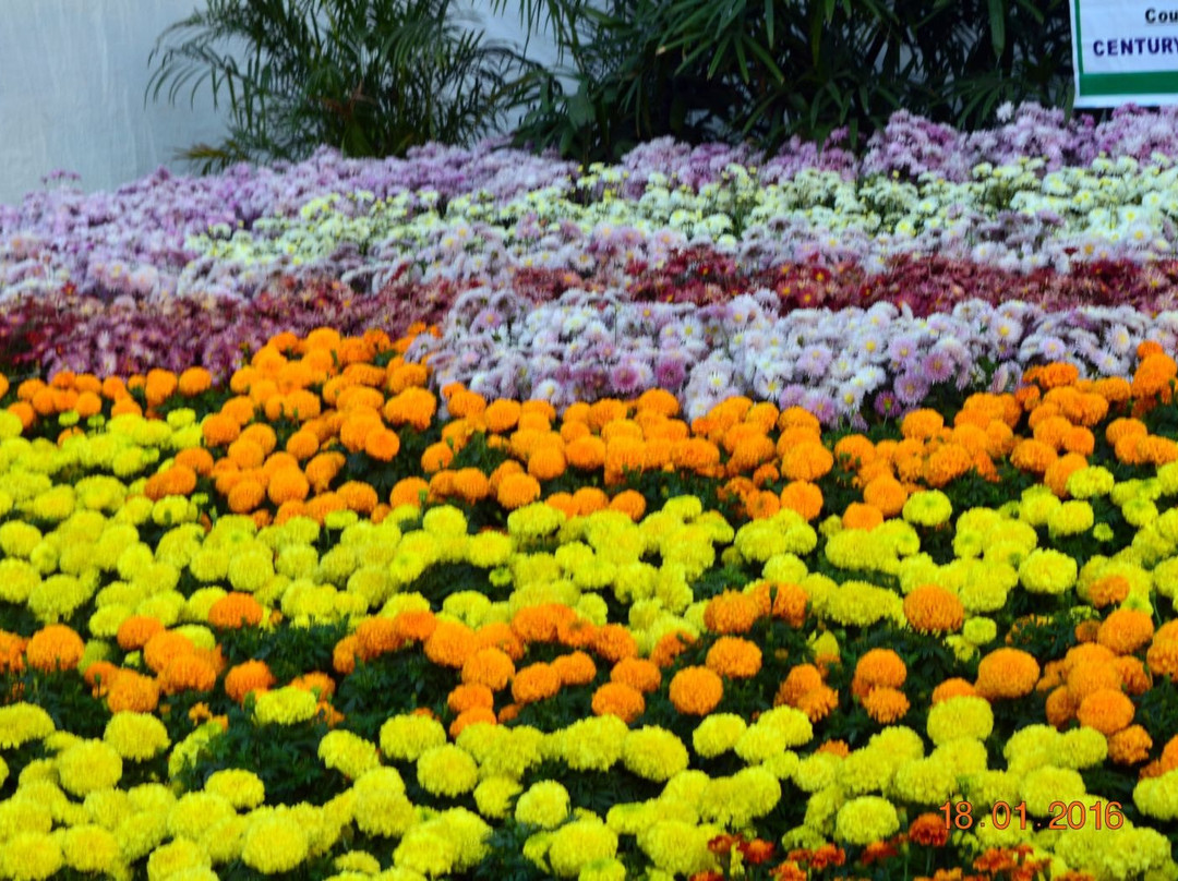 Gandhi Udyan Park-赖布尔必去景点