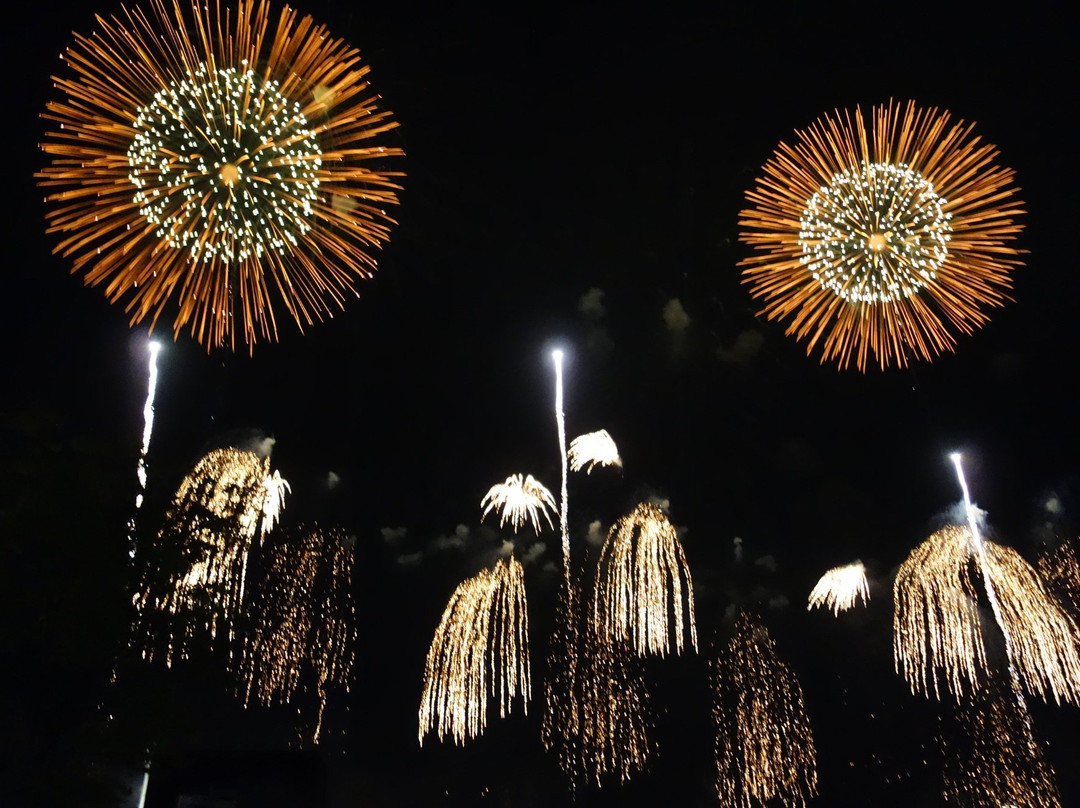 Koga Fireworks-古河市必去景点