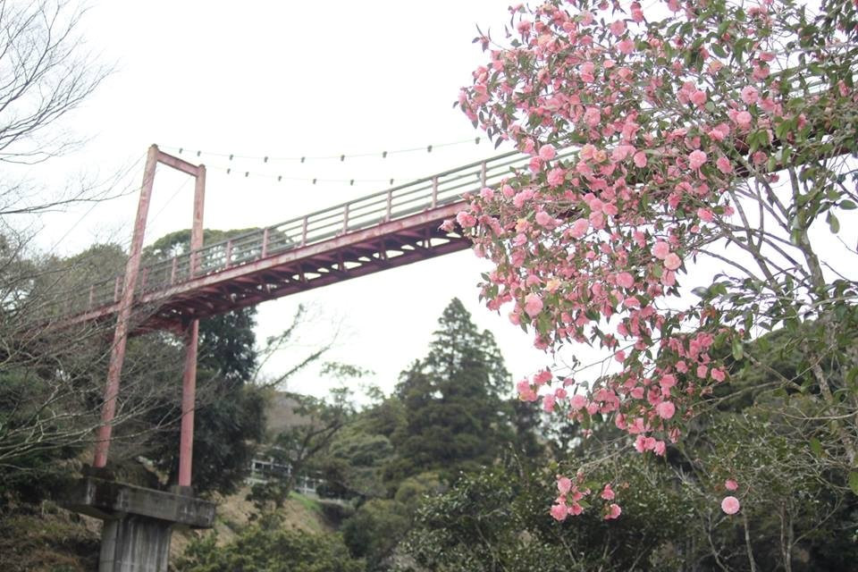Tsubaki Park-夷隅市必去景点