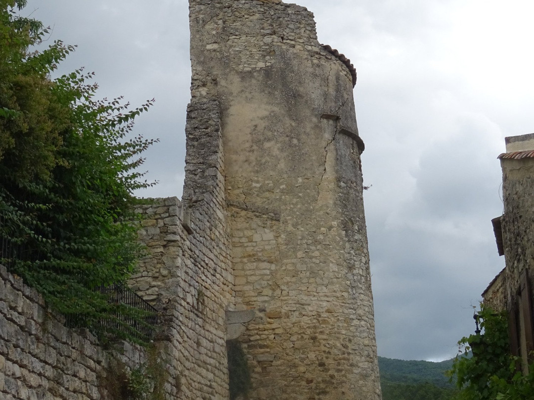 Chateau des Hospitaliers景点图片