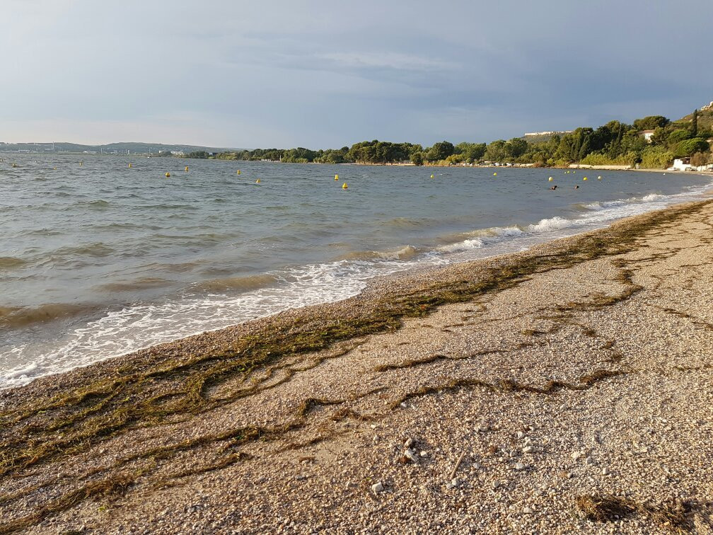 La Plage des Marettes景点图片