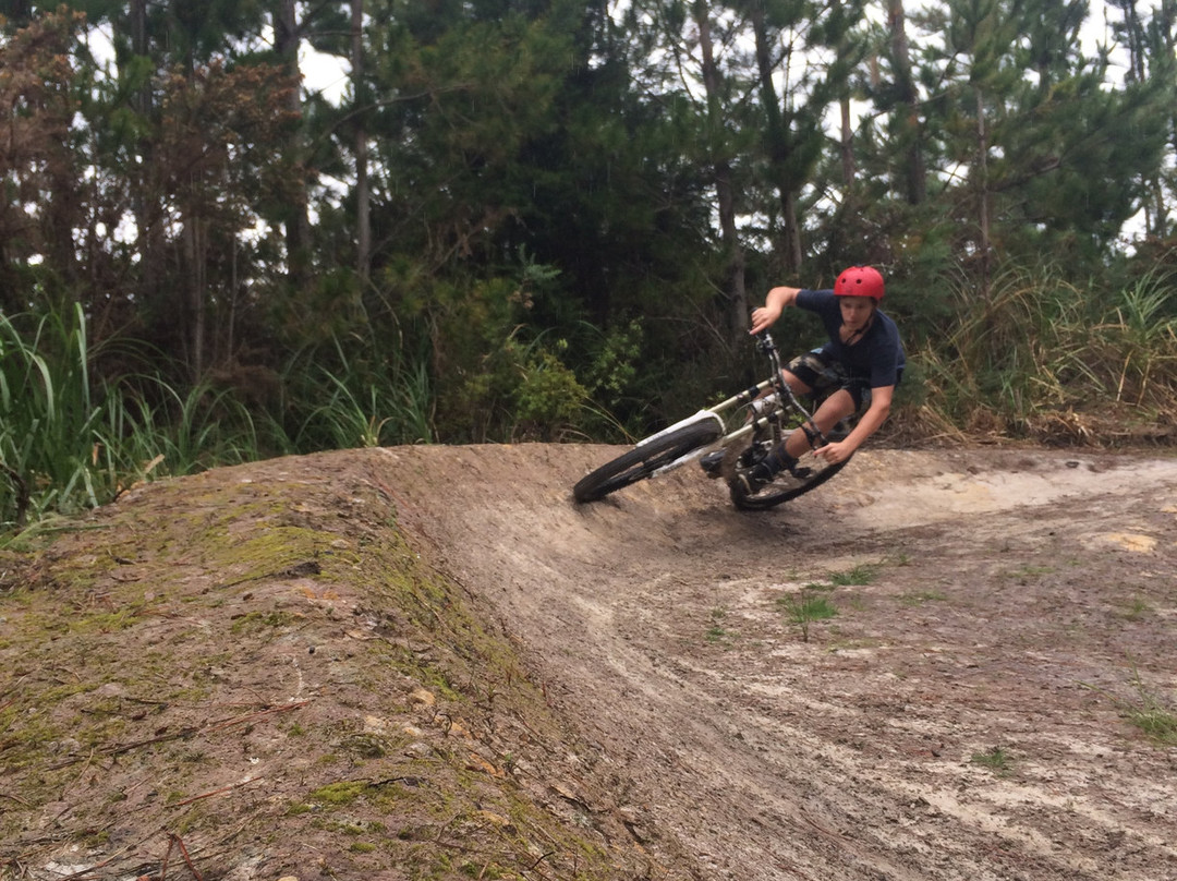 Parahaki Mountain Bike Park景点图片