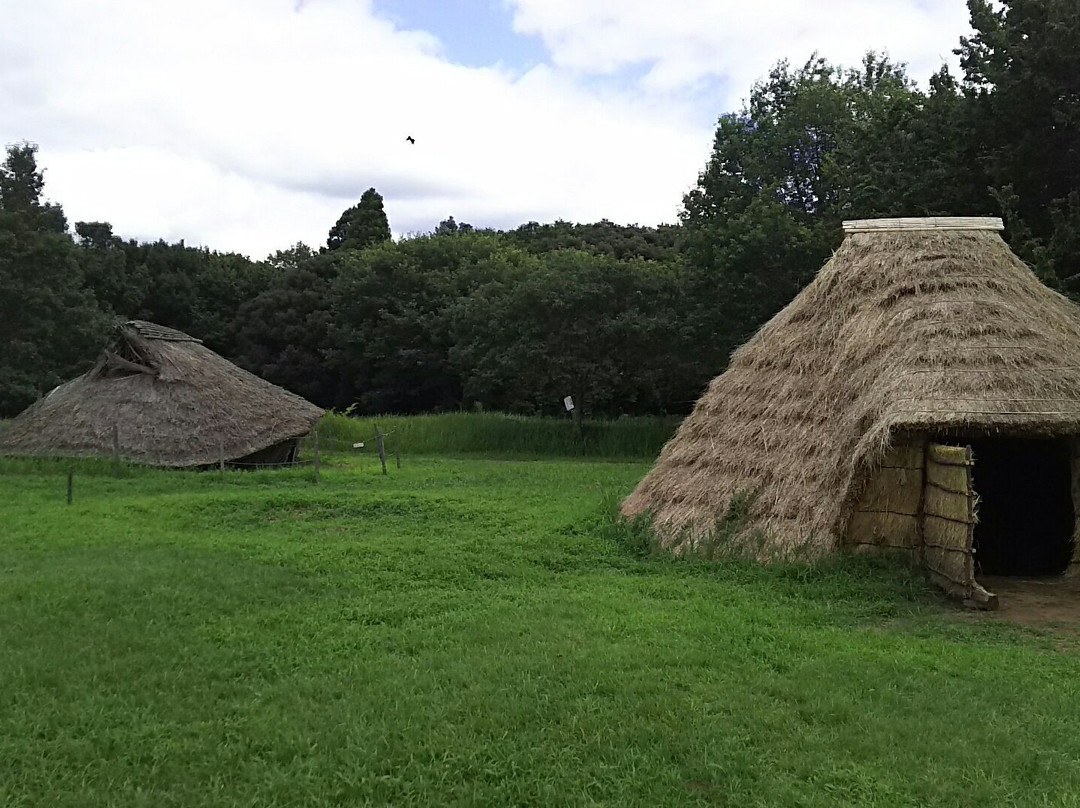 Kasori Shellmounds Site Museum-千叶市必去景点