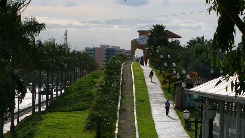 Parque Botanico El Cardenalito景点图片