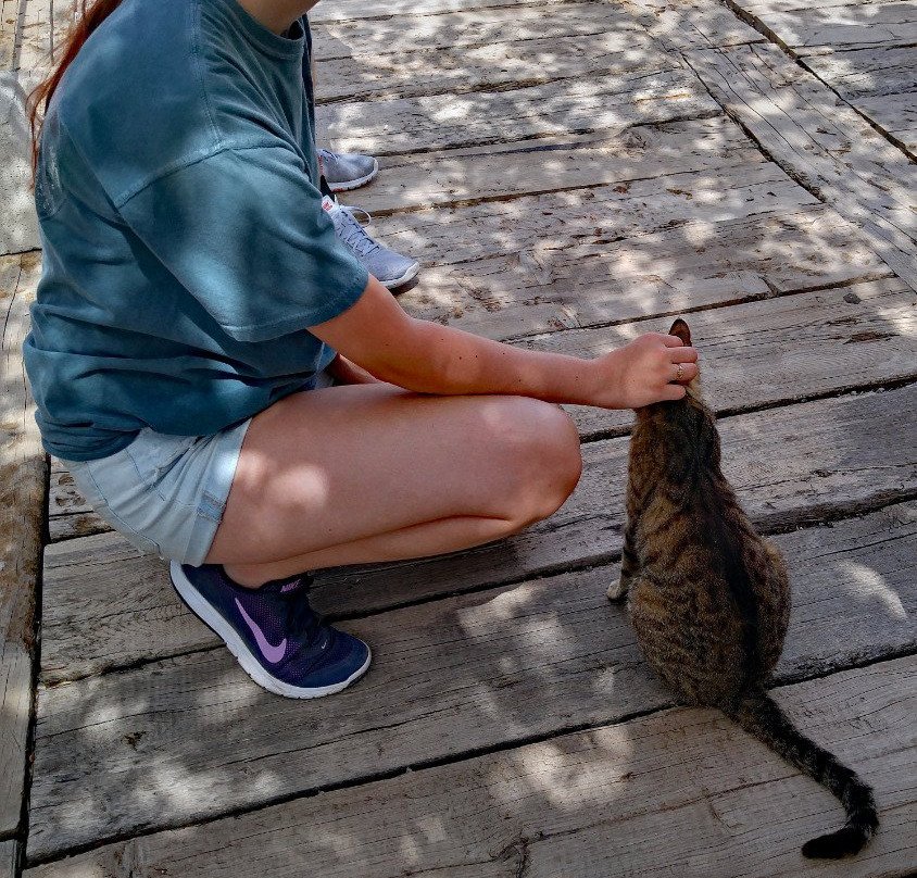 Ephesus Shuttle Private & Mini Group Shore Excursions-库萨达斯必去景点