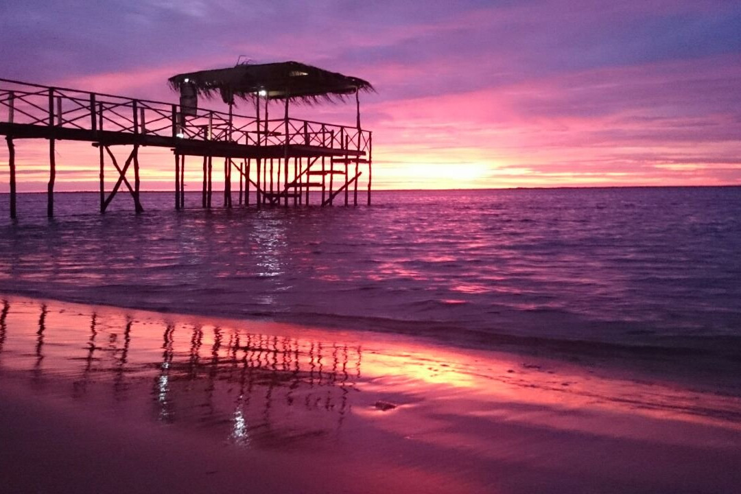 Lula's Paradise