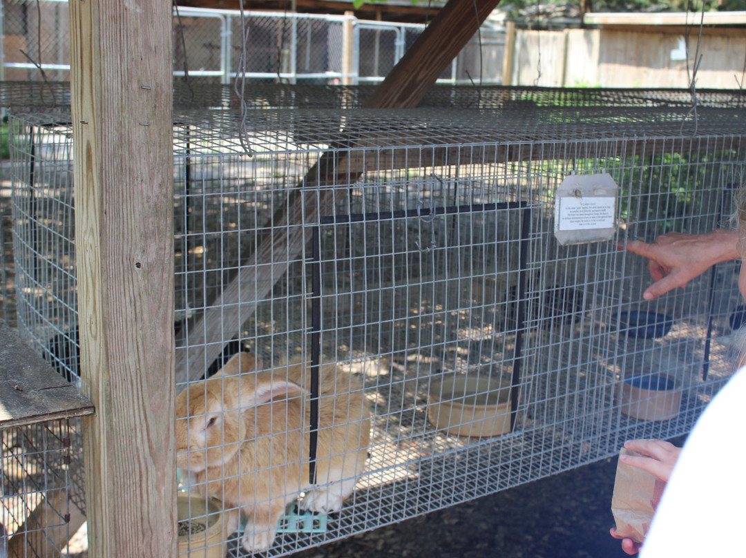 Uncle Donald's Farm-Lady Lake必去景点