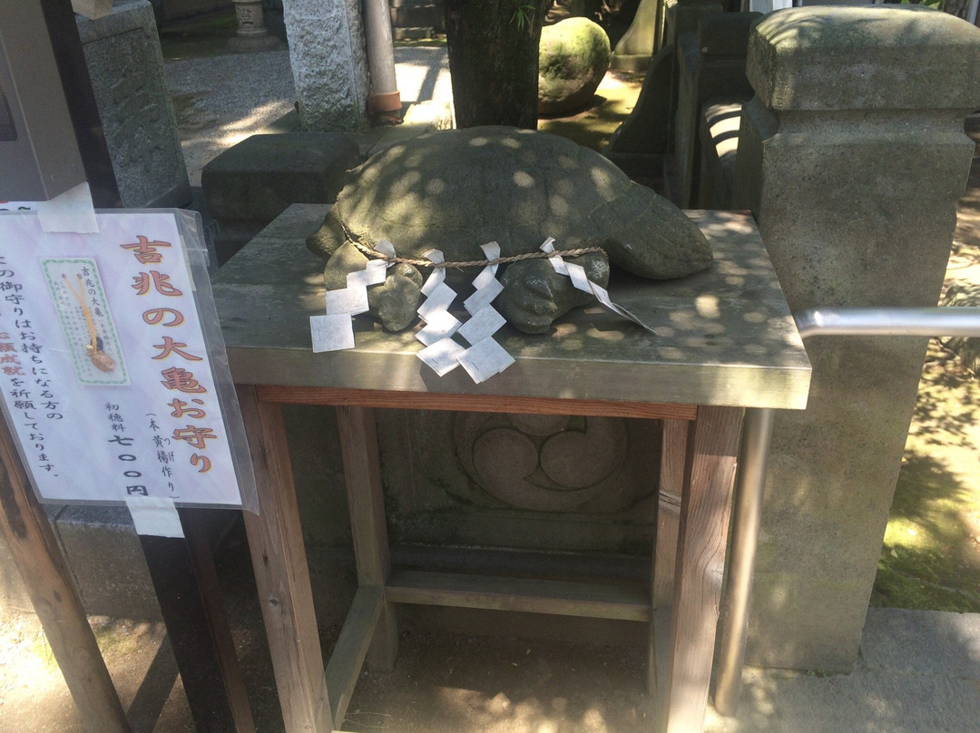 Matsubara Shrine-小田原市必去景点