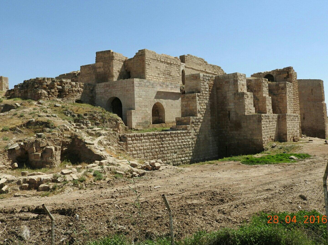 Harran旅游攻略图片