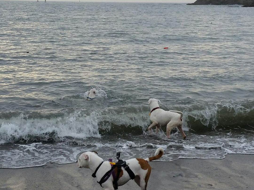 Noyo Beach景点图片