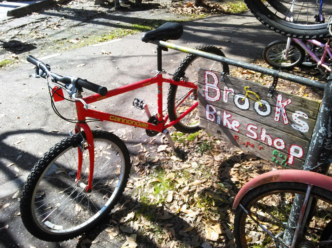 Tammany Trace-卡温顿必去景点