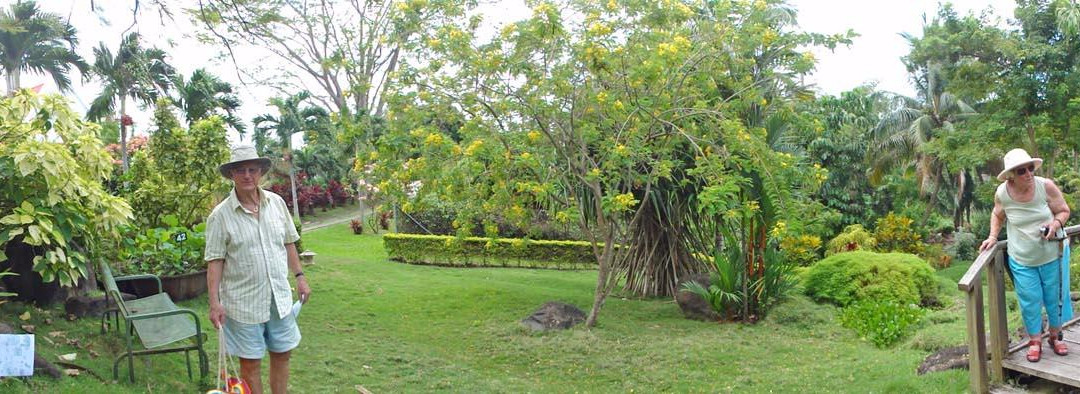 Sunnyside Garden-St. George's必去景点