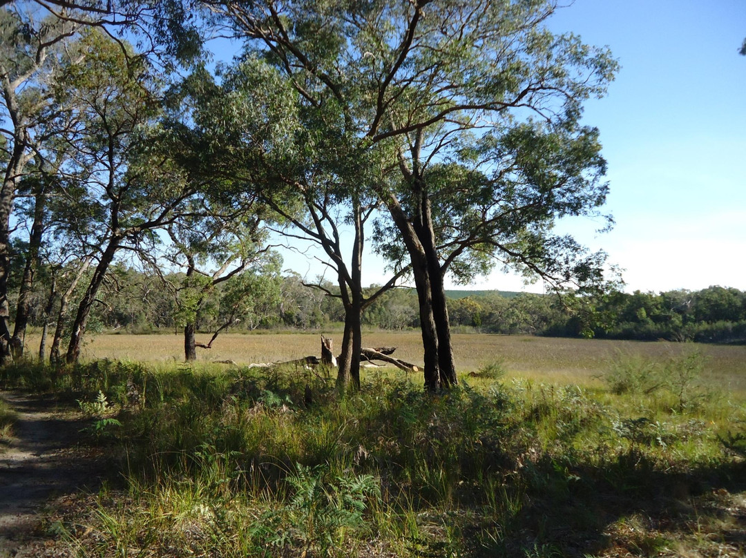 Holey plains state park
