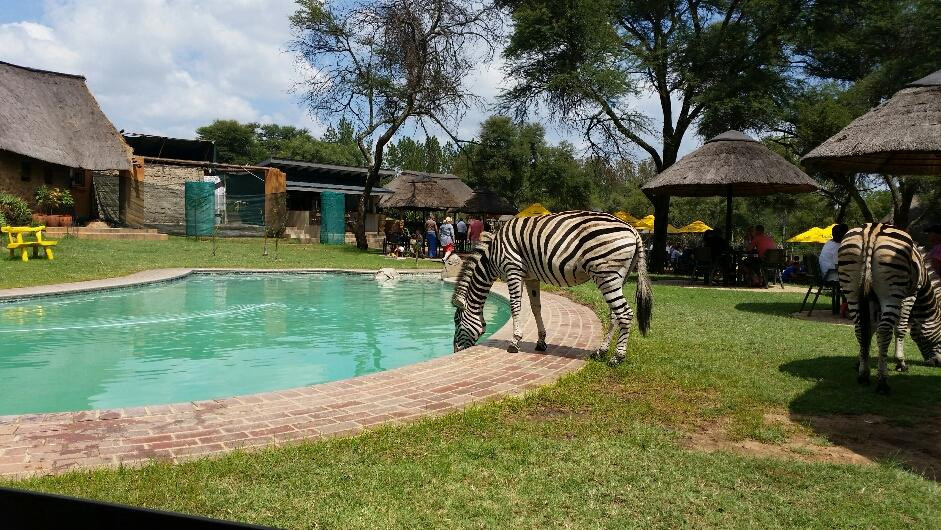 Heia Safari Ranch