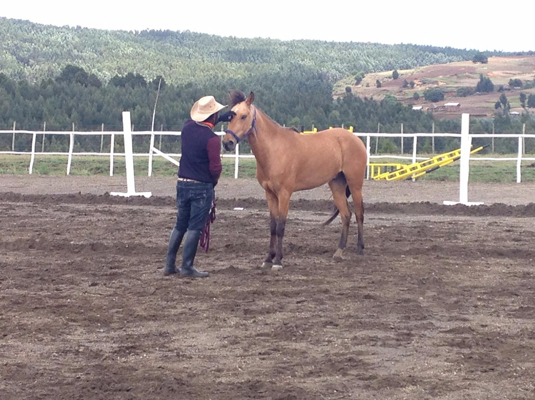 Beka Ferda Ranch景点图片