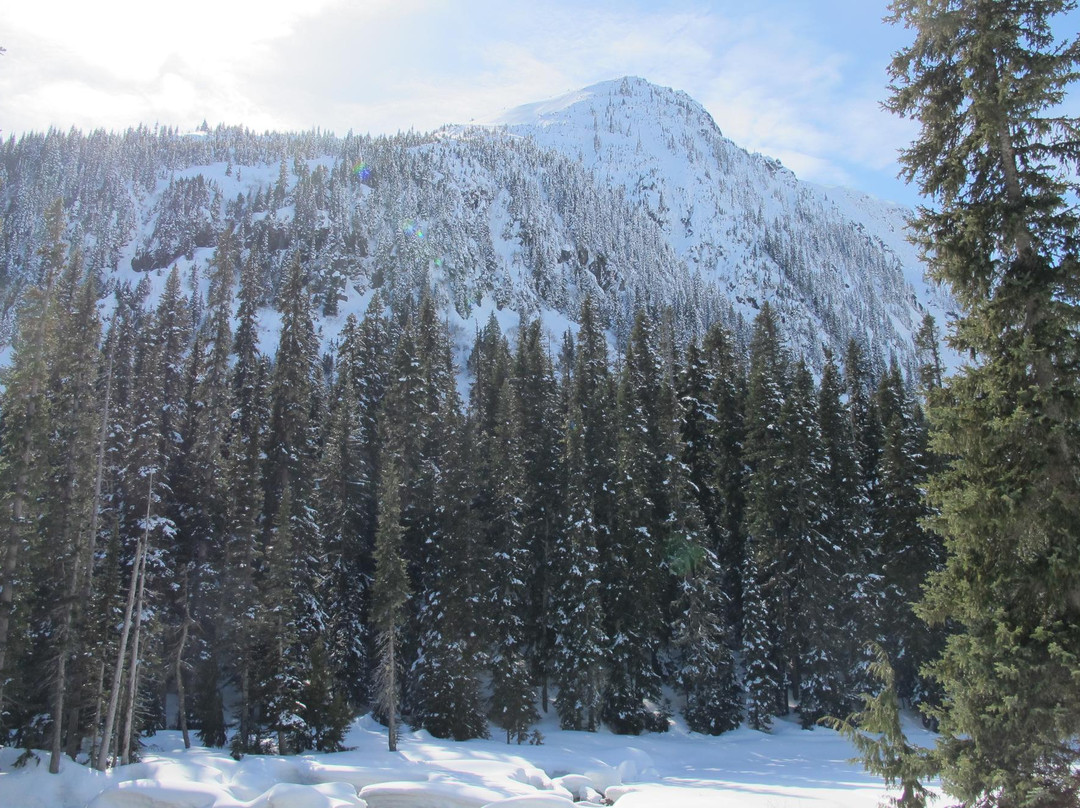 Falls Lake-Yale必去景点