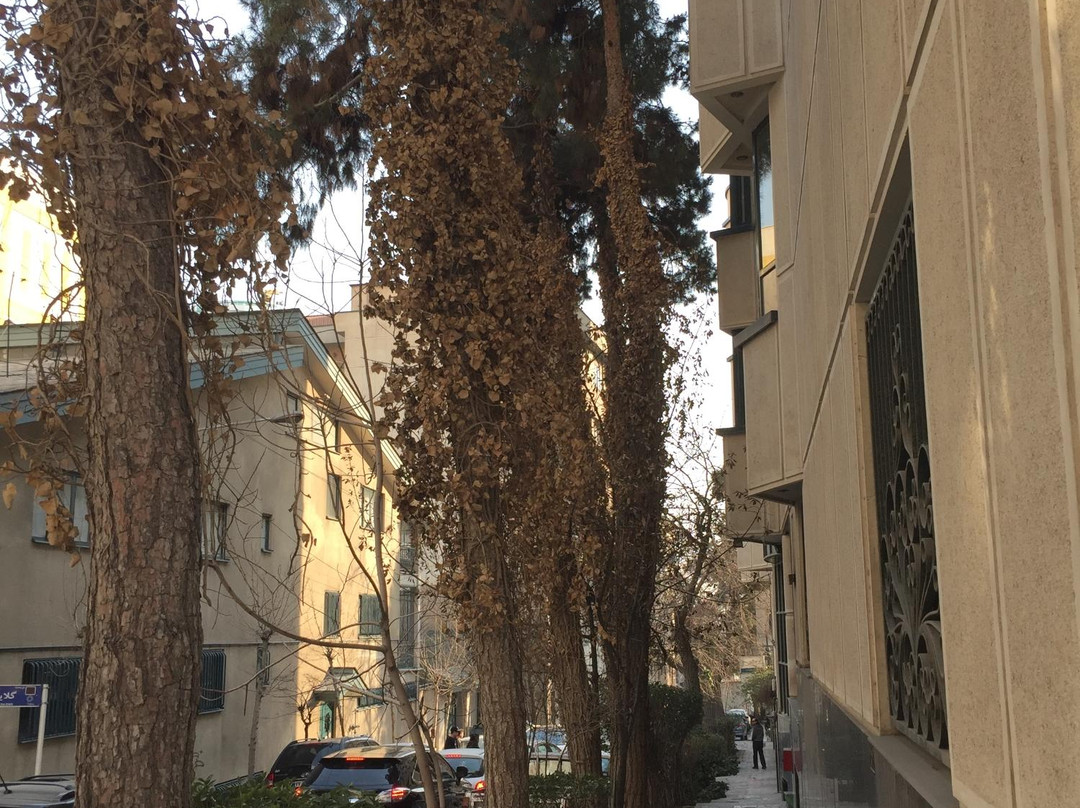 Valiasr Street-德黑兰必去景点