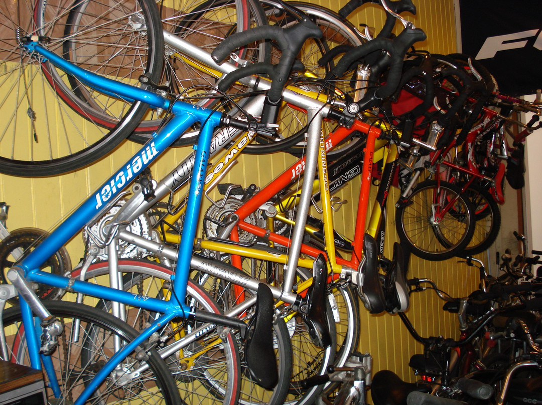 Daniels Bicycle Rentals and Sales-玛丽安德尔湾必去景点