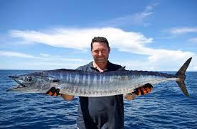 Vision Fishing Charters-阿瓦鲁阿必去景点