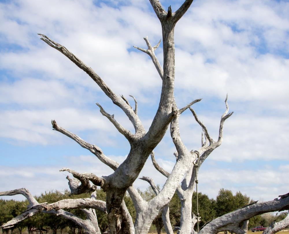 Coleto Creek Park & Reservoir-维多利亚必去景点