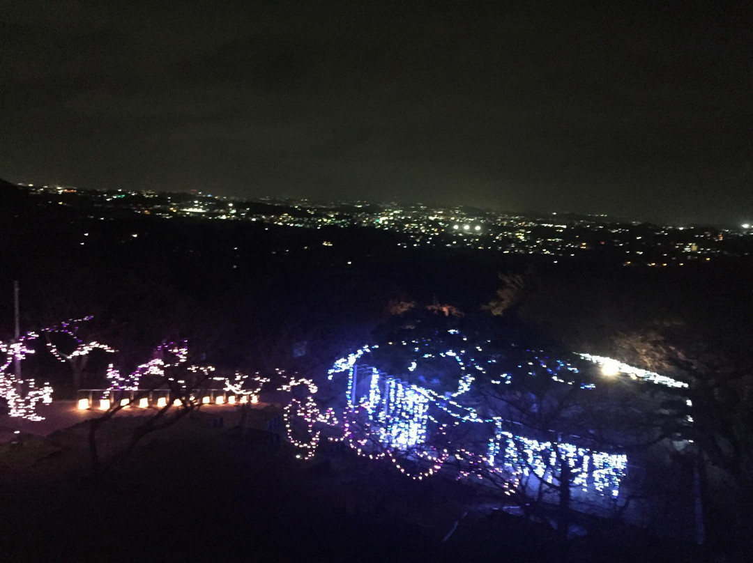 Yaese Park景点图片