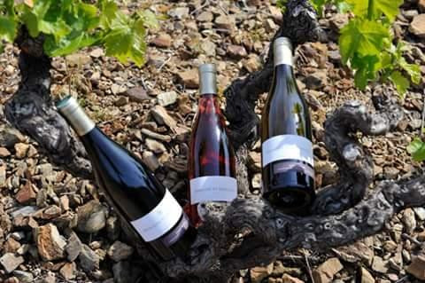 Domaine Saint Sebastien景点图片