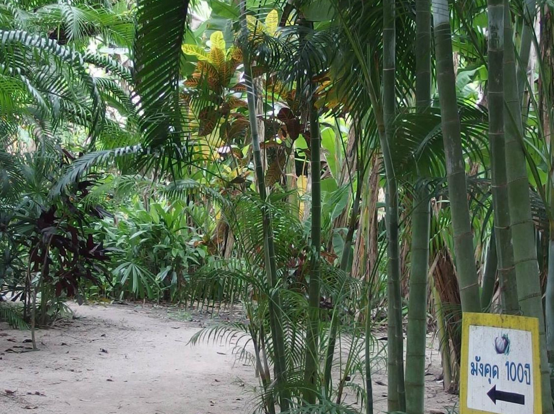 Suan Paiboon-罗勇必去景点