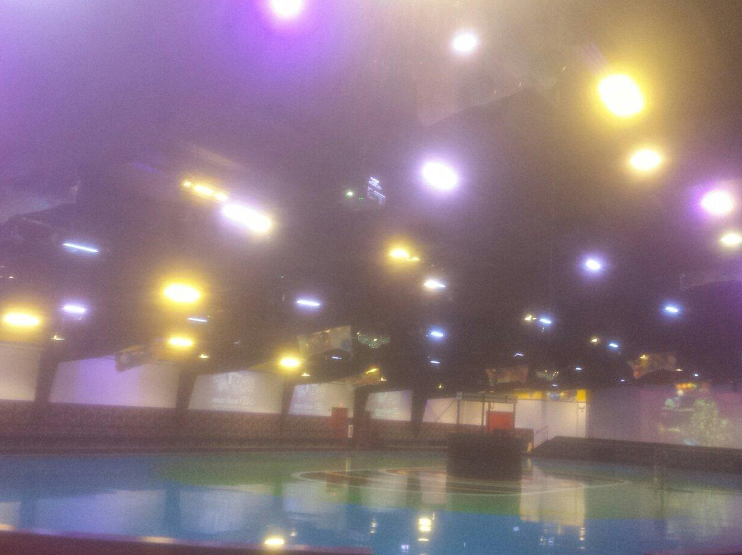 Insanity Complex-Madison必去景点