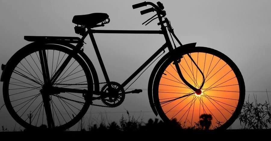 Rail Trail Bike Tours-曼斯菲尔德必去景点