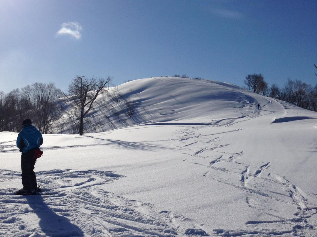 Hakusan Seymour Ski Resort景点图片