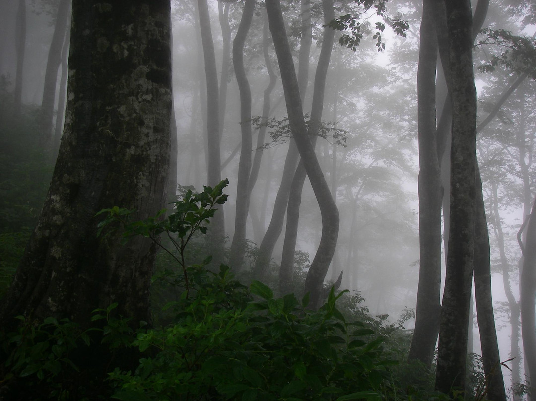 Shinetsu Trail-饭山市必去景点