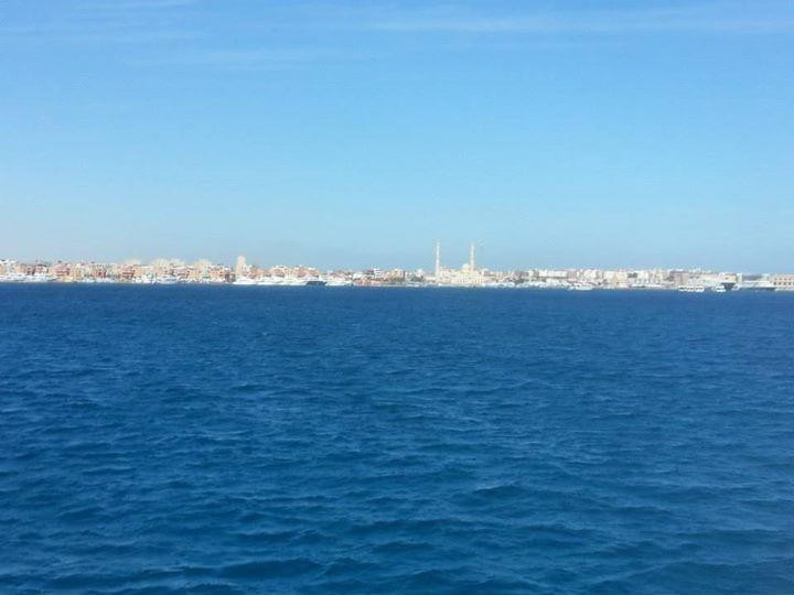 Delfinausflug Mit MO-赫尔格达必去景点