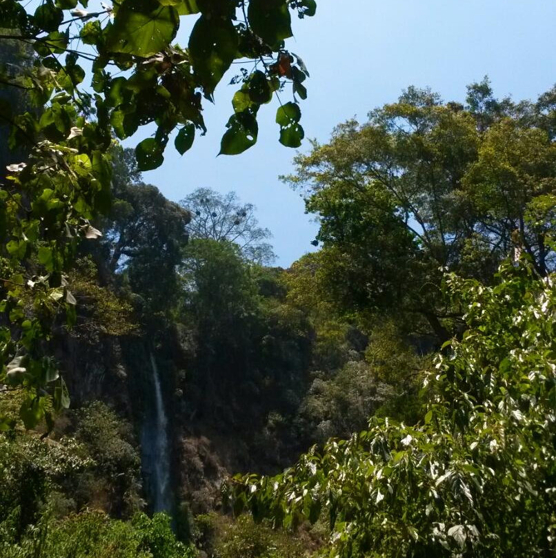 Benowo waterfall景点图片