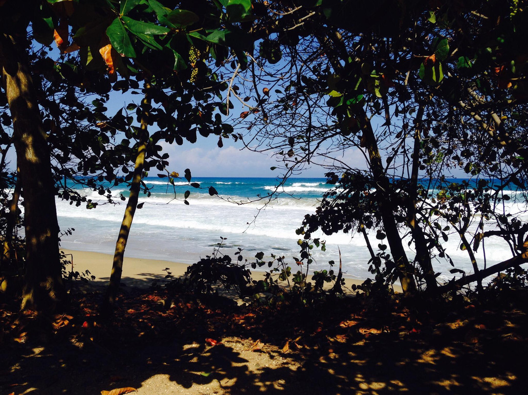 Paseo Lineal-Isabela必去景点