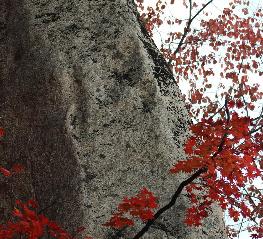 红叶谷-蛟河市必去景点