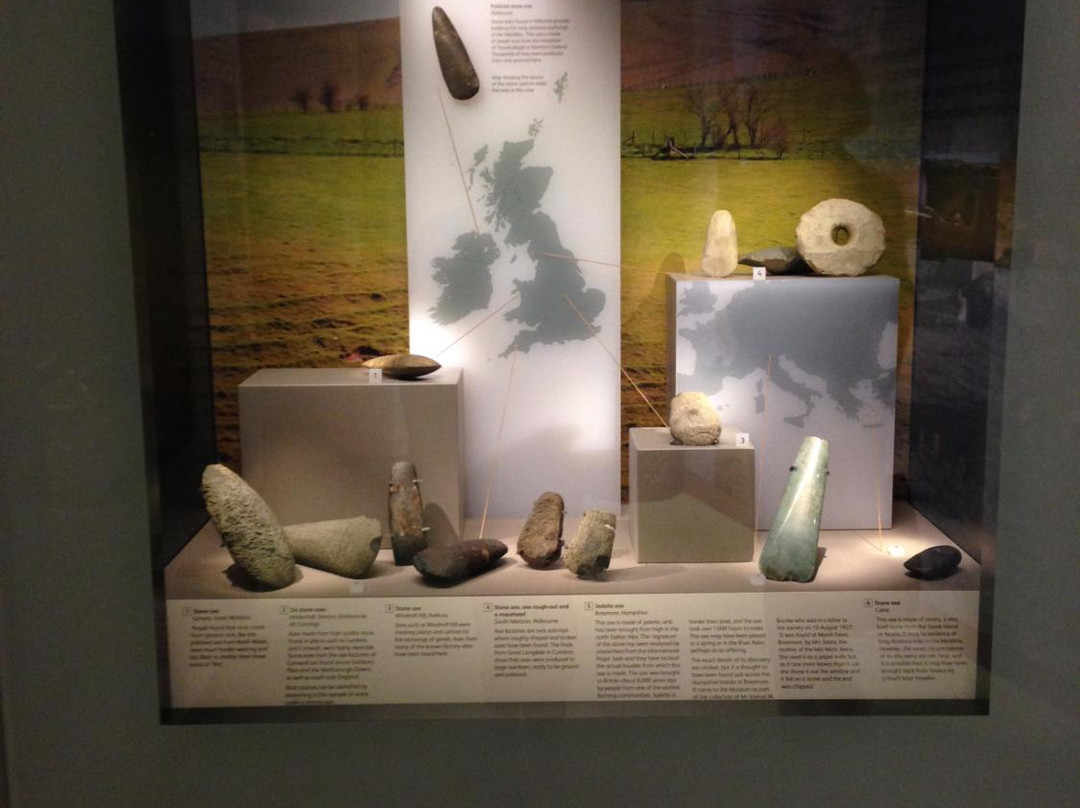 Wiltshire Museum-迪韦齐斯必去景点