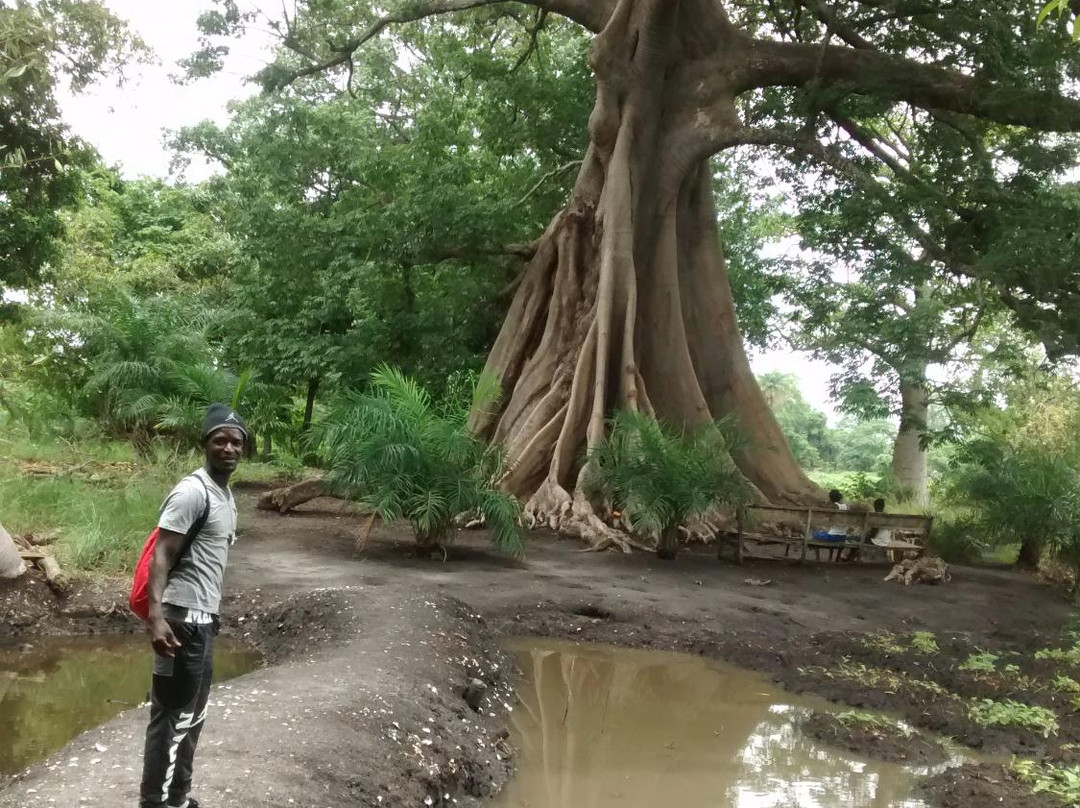 Amadou Tours景点图片