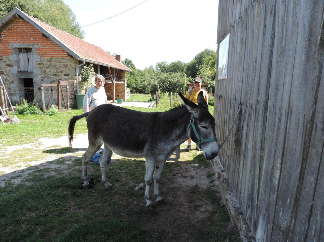 Ferme Chene de Greletti景点图片