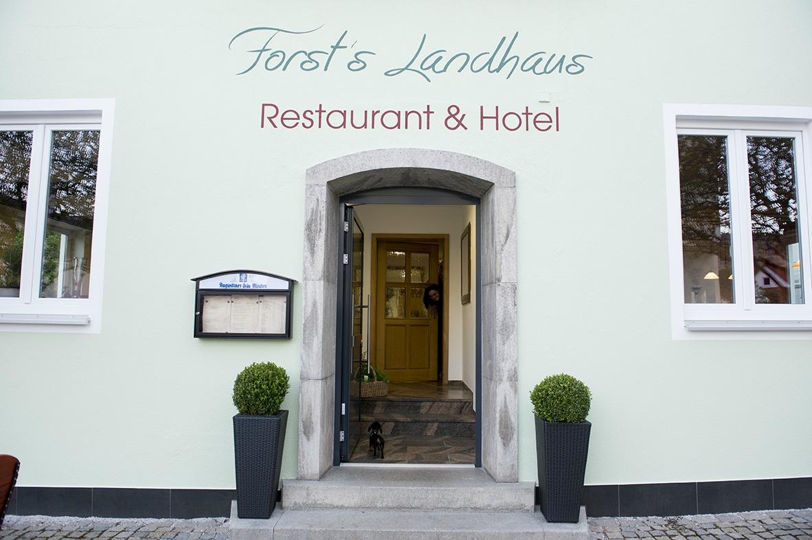 Forst's Landhaus-客卧
