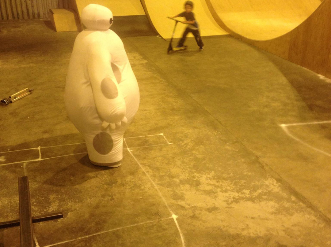 TASR Indoor Skatepark景点图片