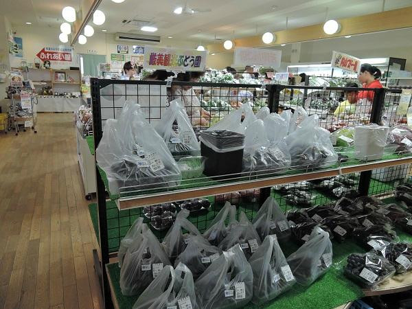 Michi-no-Eki Genbikei-一关市必去景点