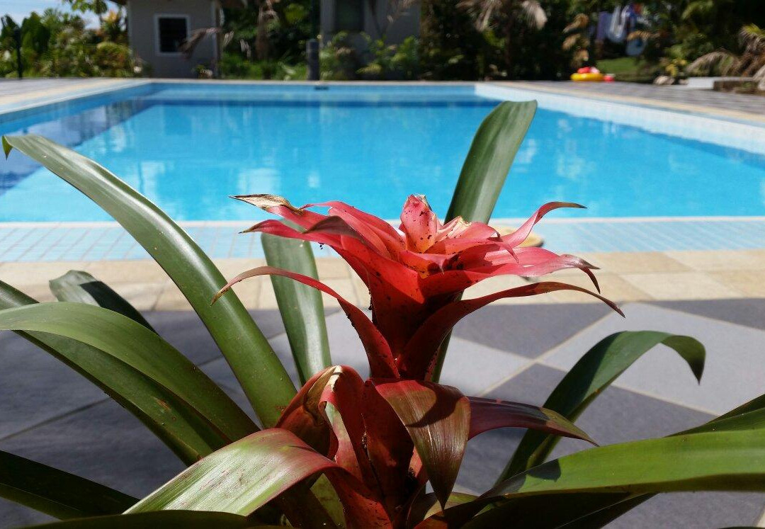 Tatiana Motel -Tanugamanono主图